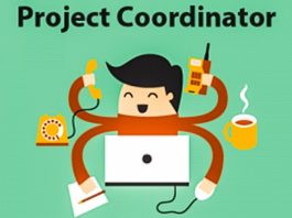 Project Coordinator Resume Sample