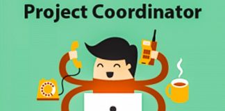 Project Coordinator Resume Sample