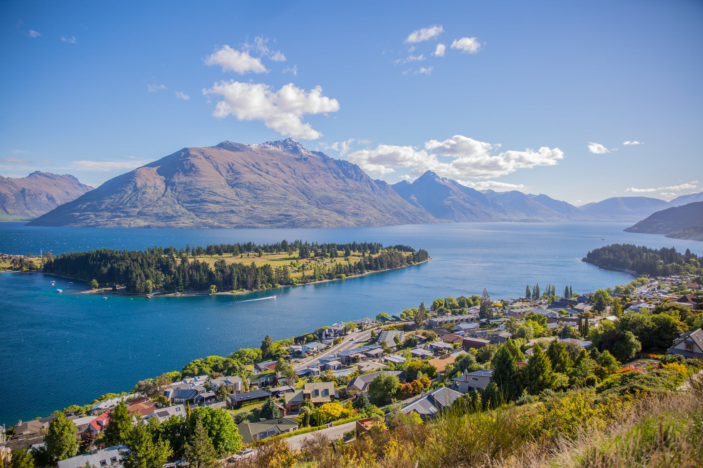 7 Easiest Ways to Immigrate to New Zealand Career Illuminate